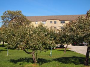 CJC.FruitTrees.Three